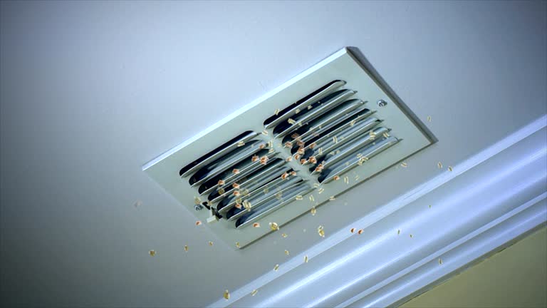 Best Best Air Duct Cleaning Company  in Kearny, AZ