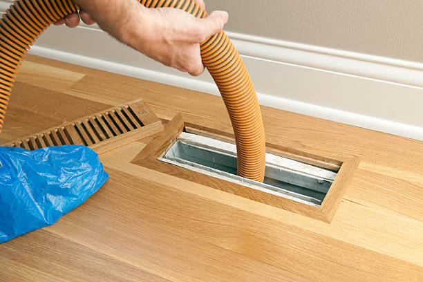 Best HVAC Air Duct Cleaning  in Kearny, AZ