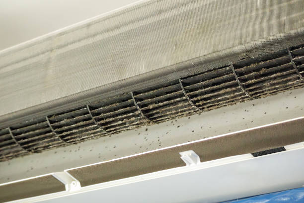 Best Ductwork Cleaning Services  in Kearny, AZ