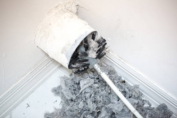Best Affordable Duct Cleaning Services  in Kearny, AZ
